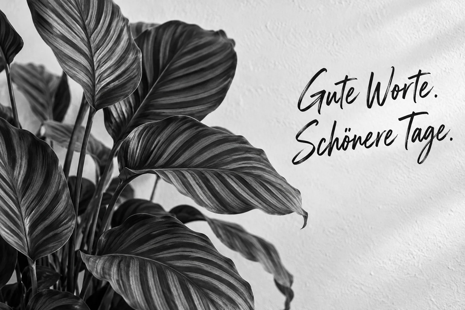 Gute Worte. Schönere Tage.